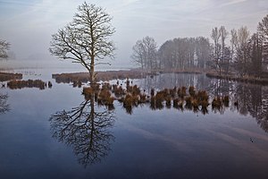 36. Platz: TDG-Foto Neu! mit De-Witt-See im Winter