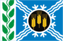 Flag of Krapivinsky District