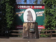 Photographie d'un tronc d'arbre portant une pancarte sur laquelle il est écrit Phil. En arrière-plan se trouve un panneau représentant une marmotte et intitulé Gobbler's Knob.