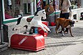 Évolution du cheval à bascule en version cheval mécanique