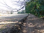 Kamikōnushi-Mobara Kanga ruins