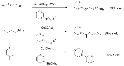 Modified Ullmann biaryl ether and biaryl amine synthesis