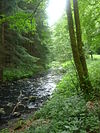 Bacher Lay bei Bad Marienberg (Westerwald)