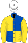 Royal blue and yellow quartered, yellow sleeves, white cap