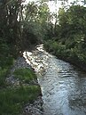 Riberas del río Oca y afluentes