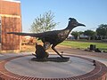 The roadrunner or chaparral is the sports emblem of Lubbock Christian University.