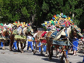 Carreto ramado à Noves.