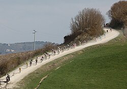 Strade Bianche 2014 (13504915215).jpg