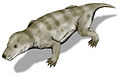 Thrinaxodon