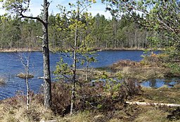 Trylen från dess östra strand, maj 2013