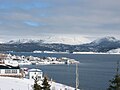 Winter in Woody Point