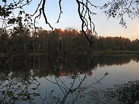 Рачье (Воронцово) озеро, Ковровский район