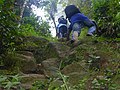 A steep footpath in the wildlife sanctuary