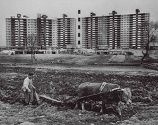 Apgujeong-dong farmer plows his field in his last year farming before selling his land