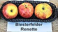 Biesterfelder Renette