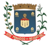 Coat of arms of Minador do Negrão