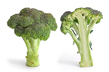 Broccoli and cross-section