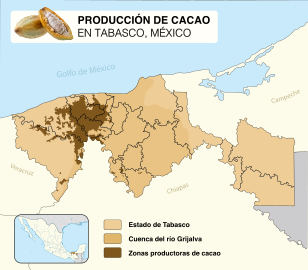 Mapa del cultivo de cacao en Tabasco