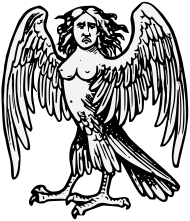 A black and white drawing of the Greek Harpy, represented as a bird with a woman's head and breasts.