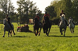 Lors d'une course de vitesse, France, 2011.