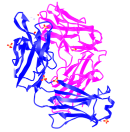 Struttura cristallina del crenezumab