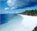 The Beach Front in Labangtaytay, home of the Bruza Family