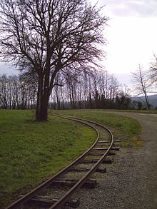 rails dans une prairie passant près d'un arbre