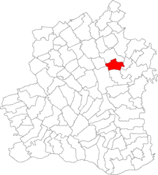 Location in Teleorman County