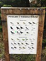 Information sign about the birdlife of Viðarlundin park in Tórshavn