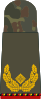Brigadegeneral (retired)