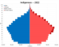 Image 8Native Argentines population pyramid in 2022. (from Indigenous peoples in Argentina)