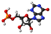 Ball-and-stick model of the inosinic acid molecule