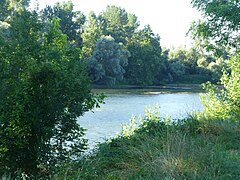 La Garonne vue de Mauvers