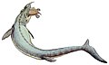 Tail B, based on Prognathodon