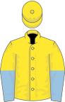 Yellow, Yellow and Light Blue halved sleeves, Yellow cap