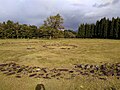 Cercles concentriques, à g. : disposition radiale ((en) sundial). Jomon Récent. Site d'Oyu, préfecture d'Akita, nord de Honshū.