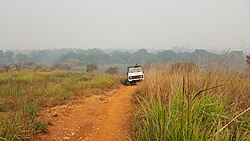 View of the Congolian Savanna