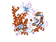 2gk7: Structural and Functional insights into the human Upf1 helicase core