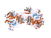 2nup: Crystal Structure of the human Sec23a/24a heterodimer, complexed with the SNARE protein Sec22b