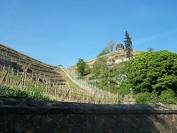 The Spitzhaustreppe stairs at Radebeul lead through the vineyard up to the Lößnitzhöhe. They end at the Bismarck tower near the Spitzhaus.