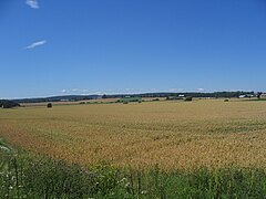 Campos agrícolas