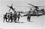 CH-53D Sea Stallion Yas'ur of 118 Squadron "Night Riders" during the Yom Kippur War 1973