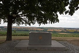 Stèle sous les arbres