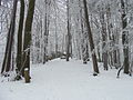 Felsenmeer am Hüttenberg im Winter