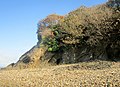 Les falaises près du Fret à l'est de Porzh Cave (en Lanvéoc) 1.