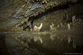 Barton Creek Cave