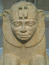 Kopf von einer Sphinx des Taharqa