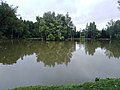 Lake in Brniště, part of Hastrmanova stezka. Location in CHKO Kokořínsko – Máchův kraj. Competition photo for Czech Wikipedia's photography contest CHÚ