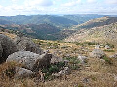 Paysage des Cévennes.