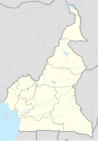 야운데는 카메룬의 수도이고 두알라는 카메룬의 최대 도시이다